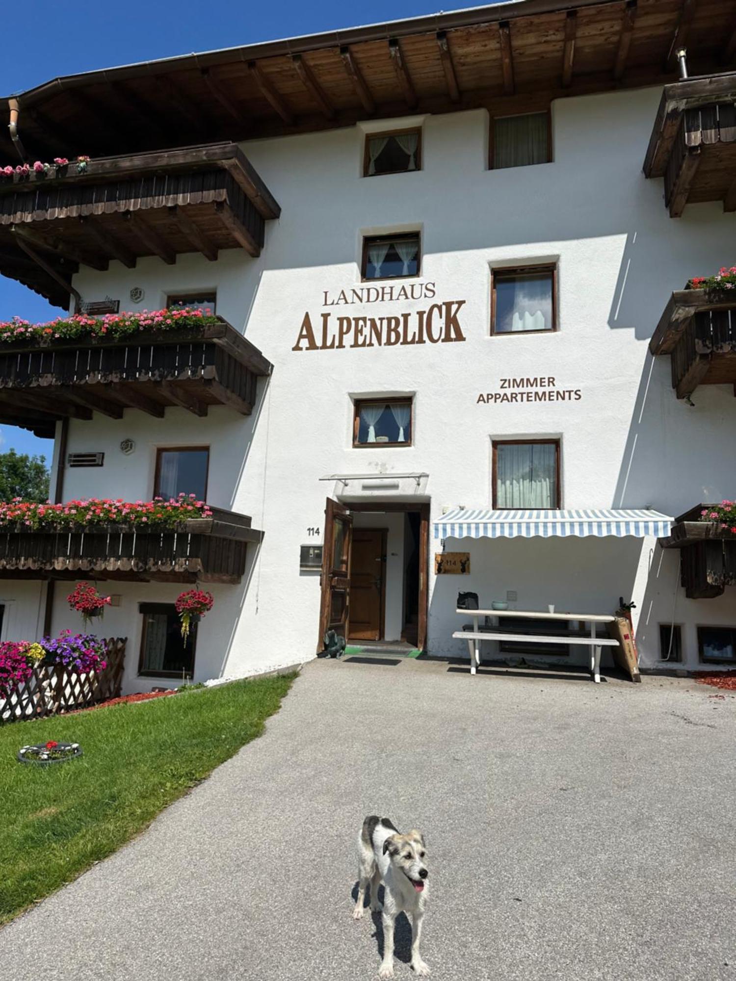Landhaus Alpenblick Обштайг Экстерьер фото